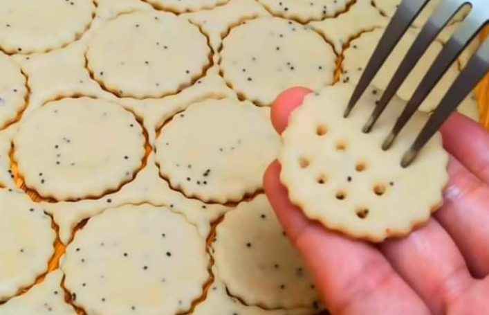 Homemade Salt Crackers with Poppy Seeds and Cheese