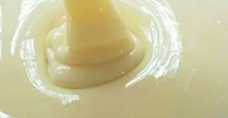 Homemade 2-ingredient condensed milk: delicious and economical