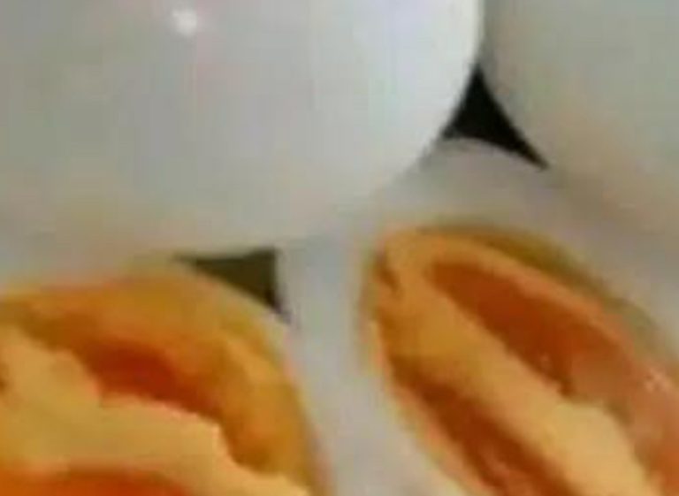 How I Lost Weight with the Egg Diet – My Experience