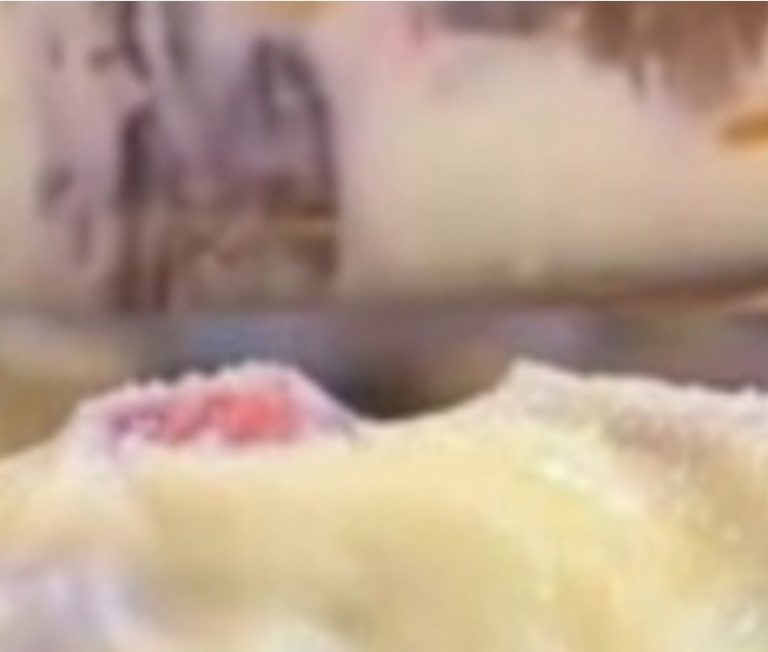 Layered Dessert With Cream, Biscuits And Fruits