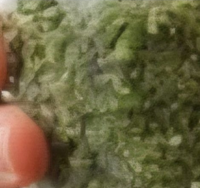 Discover the Simple Japanese Morning Habit That May Help Support Your Colon Health Naturally